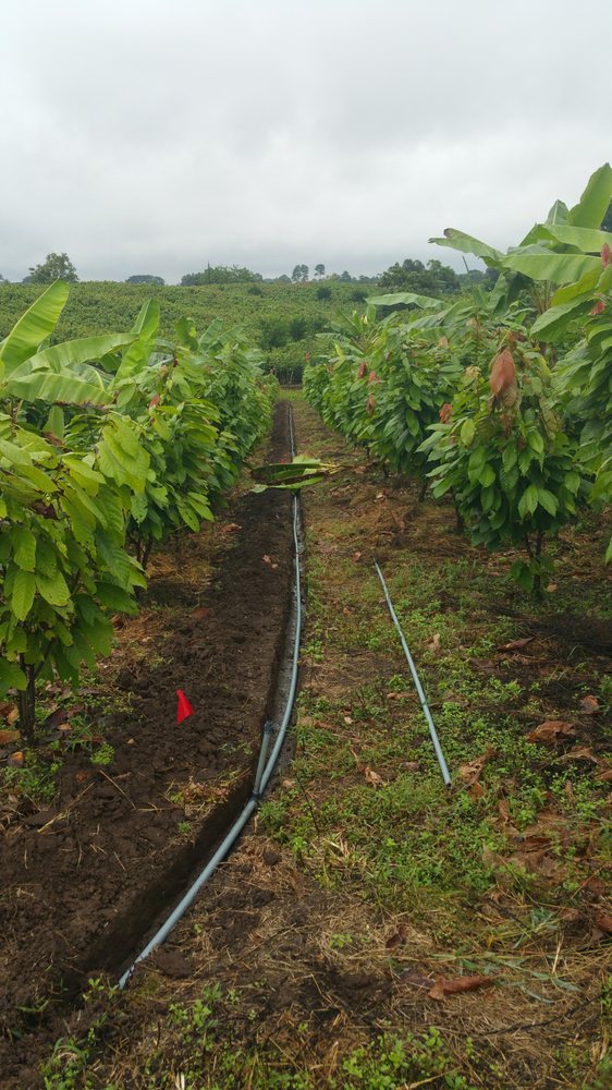 Slide of Imperial Irrigation & Lighting