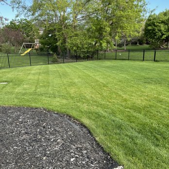 GoldLeaf Landscapes - Tree Services Near Me