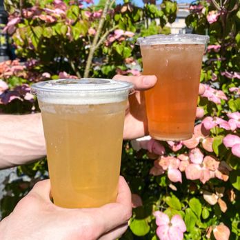 Beanery Coffeehouse & Eatery - Wildflower Lemon and Berry Mint Iced Teas - Sandwiches Near Me - Coquitlam, British Columbia