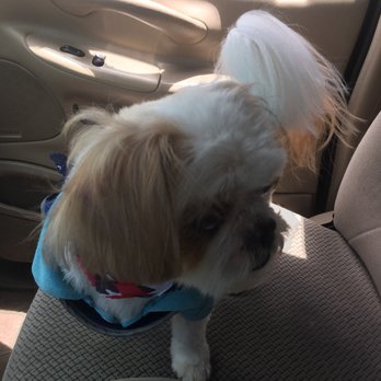 Barkus Grooming - Pet Groomers Near Me - Tyler, Texas Barkus Grooming - Pet Groomers Near Me - Tyler, Texas