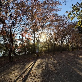 Oak Grove Lake Park - Parks Near Me - Chesapeake, Virginia Oak Grove Lake Park - Parks Near Me - Chesapeake, Virginia