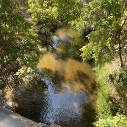 Dry Creek Community Park - Creek. View from a bridge