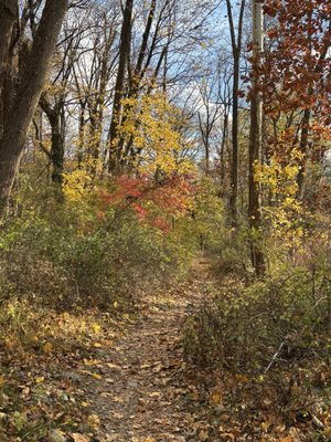 South Mountain Reservation by null