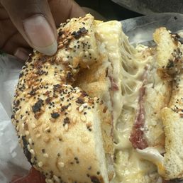 Everything bagel with a hash brown, turkey bacon egg and cheese Everything bagel with a hash brown, turkey bacon egg and cheese