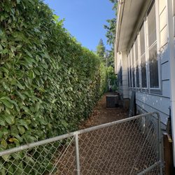 Family Landscaping - After photo