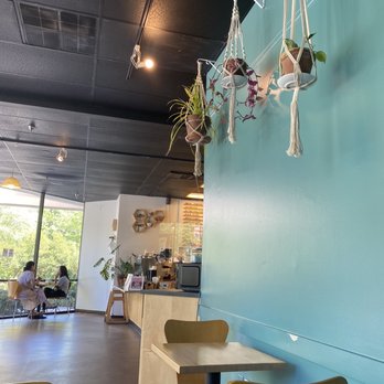 Joe Van Gogh - Decor was cute - Coffee & Tea Near Me - Chapel Hill, North Carolina Joe Van Gogh - Decor was cute - Coffee & Tea Near Me - Chapel Hill, North Carolina