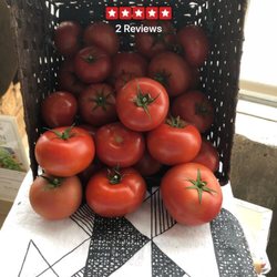 Vertical Harvest - Tomatoes