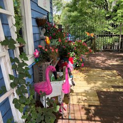 Dogwood - More flamingos!