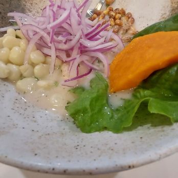Sr. Ceviche - Excellent classic fish ceviche - Seafood Near Me - Pembroke Pines, Florida Sr. Ceviche - Excellent classic fish ceviche - Seafood Near Me - Pembroke Pines, Florida