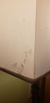 The Ponce St. Augustine Hotel by null