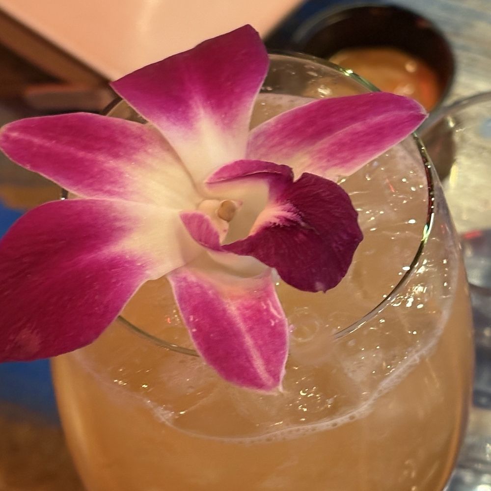 Donjito - Latin American Near Me - Mamaroneck, New York Donjito - Latin American Near Me - Mamaroneck, New York