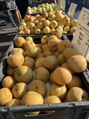 South Pasadena Farmer's Market by null