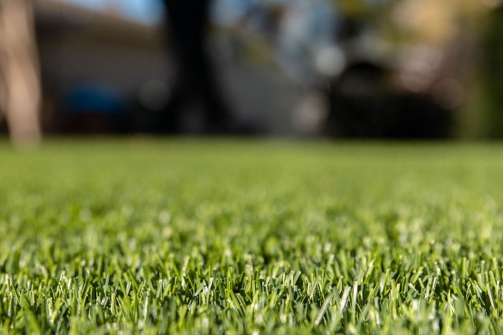 TURFRESH 22 Photos Glendale, Arizona Artificial Turf Phone Number Yelp