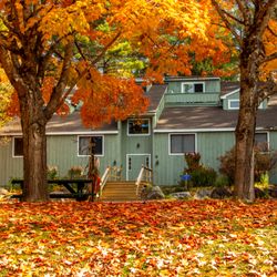 The Seasons Resort