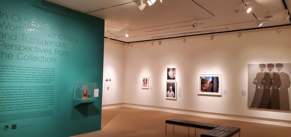 Rollins Museum of Art by null