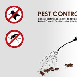 Super Pest Control