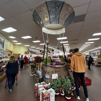 Trader Joe's - A Christmas-themed display featuring small potted Christmas trees and flowers, arranged under a hot air balloon-shaped structure in a grocery store. - Grocery Near Me - Albuquerque, New Mexico