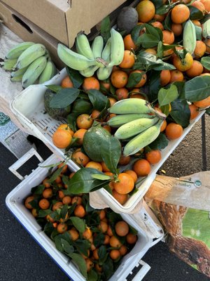 Upcountry Farmer's Market by null