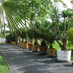 Park Schönfeld