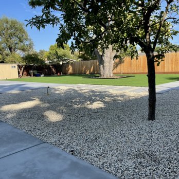 VR. Landscape solution  - a tree in the backyard - Landscaping Near Me - Martinez , California