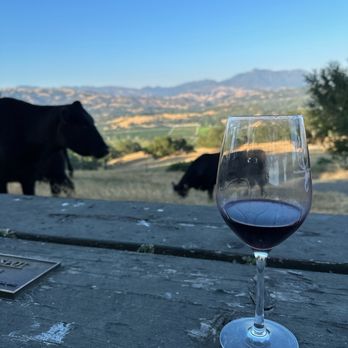 Rose Wine Tours - Ended the day with a fabulous tasting alongside some cows. - Wine Tours Near Me Rose Wine Tours - Ended the day with a fabulous tasting alongside some cows. - Wine Tours Near Me