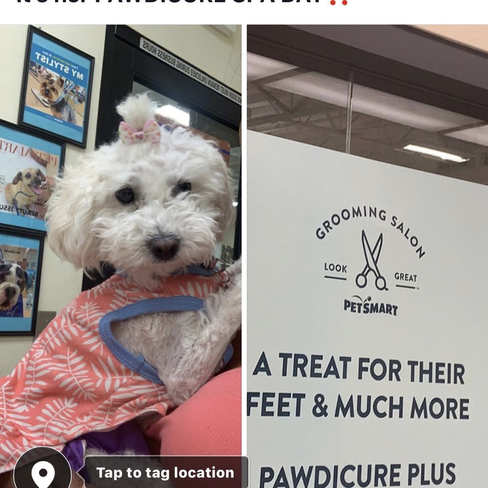 PetSmart - Niya before her service - Pet Stores Near Me - Palmdale, California