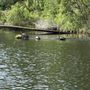 Photo of River Adventure Tours