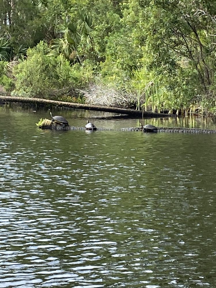 River Adventure Tours Image