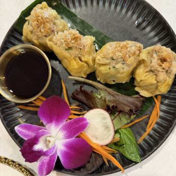 The Theo Thai Bistro - Steamed Thai Dumpling - Thai Near Me - Bethpage, New York The Theo Thai Bistro - Steamed Thai Dumpling - Thai Near Me - Bethpage, New York
