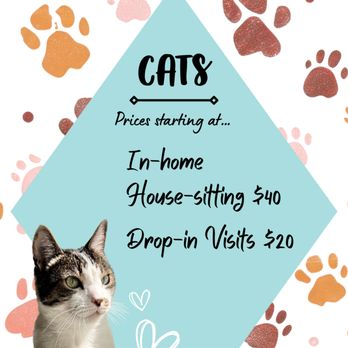 Lilian's Pet Services - Cat Pricing - Pet Sitting Near Me - Austin, Texas Lilian's Pet Services - Cat Pricing - Pet Sitting Near Me - Austin, Texas