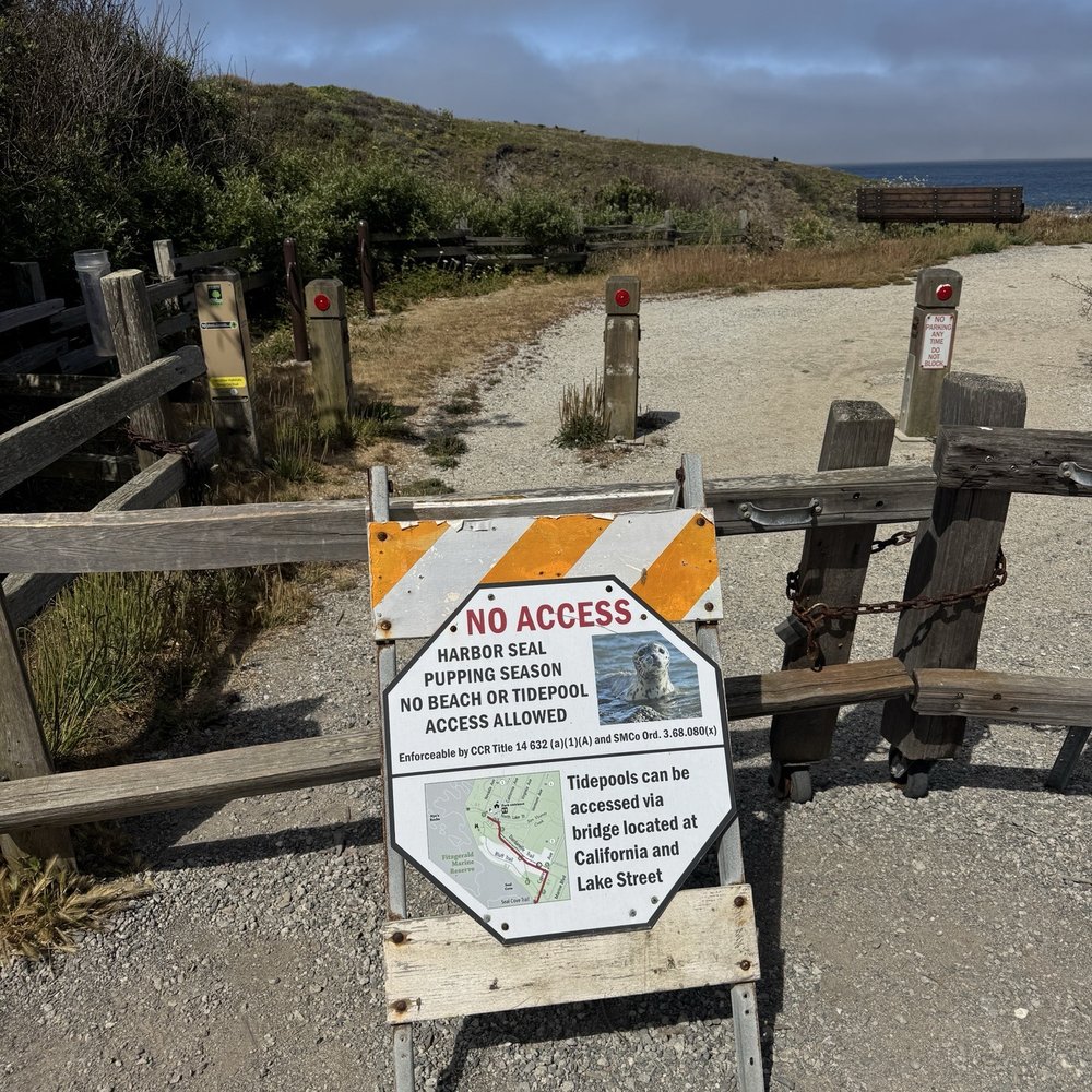 Fitzgerald Marine Reserve - Parks Near Me - Moss Beach, California