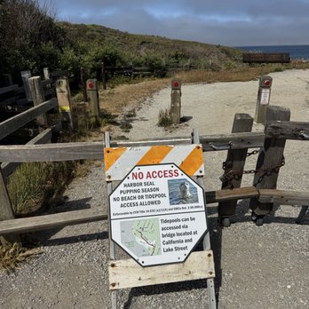 Fitzgerald Marine Reserve - Parks Near Me - Moss Beach, California