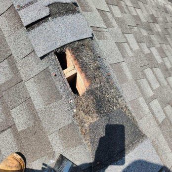 Reliable Roofing - Roof Damage - Roofing Near Me - Chicago, Illinois
