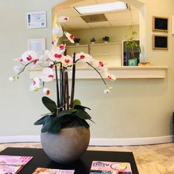 New Vision Dental - New flower arrangement JUN2025