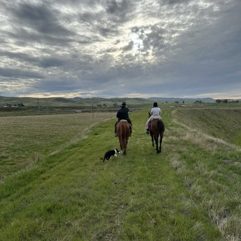 Cowboy Trail Rides - Riding - Horseback Riding Near Me - Tracy, California