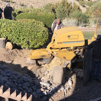 Blossom Trees - stump grinding - Tree Services Near Me