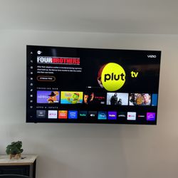 Capital Tech Mount & Repair  - Mounted 75" TV on a Full Motion Mount