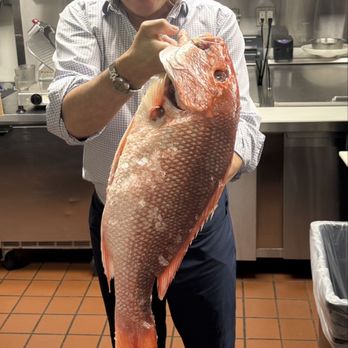 Zio Cecio - Il pesce fresco - Italian Near Me - Dallas, Texas Zio Cecio - Il pesce fresco - Italian Near Me - Dallas, Texas