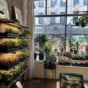 Bark & Vine - Nurseries & Gardening Near Me - New Haven, Connecticut
