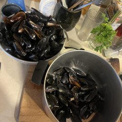 Mussels