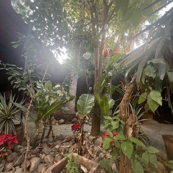 Aguamiel - Breakfast & Brunch Near Me - Puerto Vallarta, JAL Aguamiel - Breakfast & Brunch Near Me - Puerto Vallarta, JAL