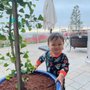 Photo of TreeSchool Landscaping