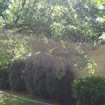 Douglass Tree - Tree just waiting to fall on the house. Mike to the rescue. - Tree Services Near Me - Grants Pass, Oregon