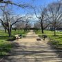 Photo of Warm Springs Park