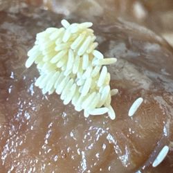 Hawaiian Bros - Gross.. I really hope I didn't eat any of these fly eggs..