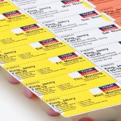 Bouvier Pharmacy & Home Medical Solutions