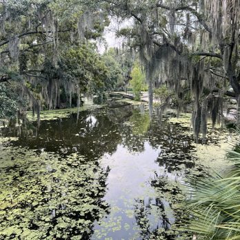 Southern Style Tours - City Park - Tours Near Me - New Orleans, Louisiana Southern Style Tours - City Park - Tours Near Me - New Orleans, Louisiana
