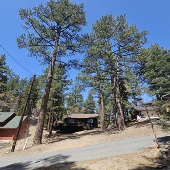 Fire Risk Management - Freshly trimmed trees - Tree Services Near Me Fire Risk Management - Freshly trimmed trees - Tree Services Near Me