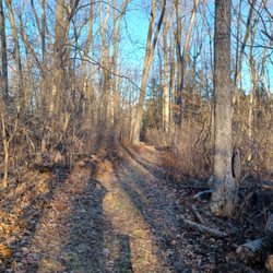 Mariton Wildlife Sanctuary - On the Turnpike Trail