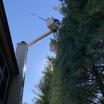 Ortiz Tree Service - Tree Services Near Me Ortiz Tree Service - Tree Services Near Me